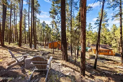 24 County Rd 2267 --, Alpine, AZ 85920 - Photo 46
