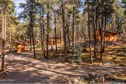 24 County Rd 2267 --, Alpine, AZ 85920 - Photo 52