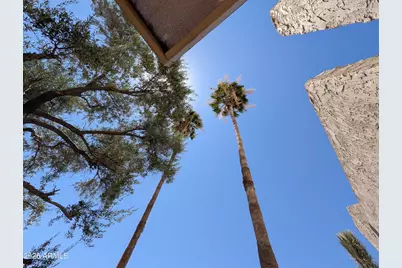 5650 N 78th Place, Scottsdale, AZ 85250 - Photo 26