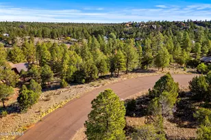 2794 Sky Hawk Dr, Overgaard, AZ 85933 - Photo 1