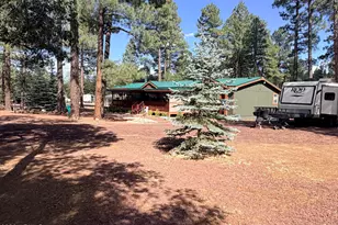 852 Navajo Trail, Show Low, AZ 85901 - Photo 14