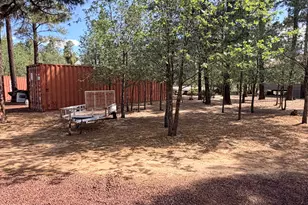 852 Navajo Trail, Show Low, AZ 85901 - Photo 20