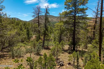 34 County Road 2279 -- #34, Nutrioso, AZ 85932 - Photo 1