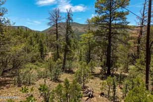 34 County Road 2279 --, Nutrioso, AZ 85932 - Photo 1