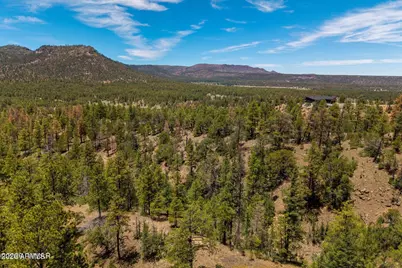 34 County Road 2279 -- #34, Nutrioso, AZ 85932 - Photo 6