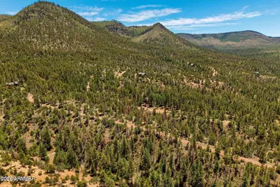 34 County Road 2279 -- #34, Nutrioso, AZ 85932 - Photo 8