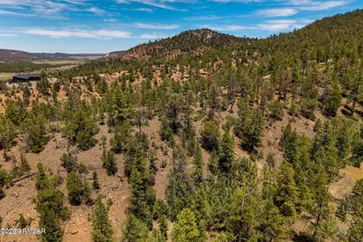 34 County Road 2279 -- #34, Nutrioso, AZ 85932 - Photo 4
