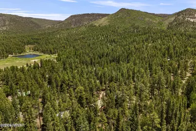 12 County Road 2044 --, Alpine, AZ 85920 - Photo 28