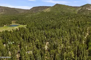 12 County Rd 2044, Alpine, AZ 85920 - Photo 28