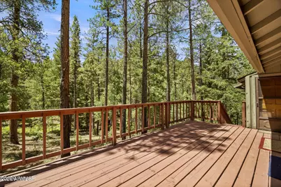 12 County Road 2044 --, Alpine, AZ 85920 - Photo 4