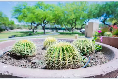 7684 E Balao Drive, Scottsdale, AZ 85266 - Photo 6