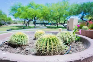 7684 E Balao Dr, Scottsdale, AZ 85266 - Photo 6