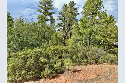 7026 Leo Lane #25, Lakeside, AZ 85929 - Photo 8