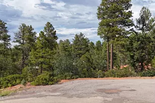 7026 Leo Ln, Lakeside, AZ 85929 - Photo 1