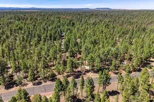 4170 Apache Dr, Happy Jack, AZ 86024 - Photo 44