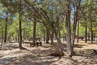 4170 Apache Drive, Happy Jack, AZ 86024 - Photo 38
