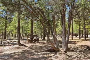 4170 Apache Dr, Happy Jack, AZ 86024 - Photo 38