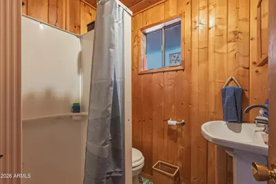 2100 Antelope Way, Happy Jack, AZ 86024 - Photo 12
