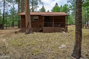 2100 Antelope Wy, Happy Jack, AZ 86024 - Photo 2