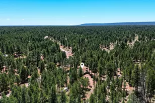 856 Coconino Loop, Happy Jack, AZ 86024 - Photo 50