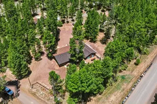856 Coconino Loop, Happy Jack, AZ 86024 - Photo 48