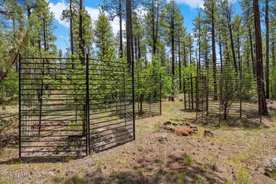 Tbd E Sawmill Drive #-, Pinetop, AZ 85935 - Photo 4