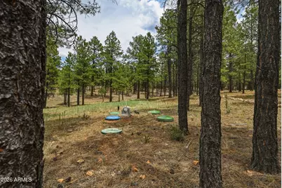 2799 Cherokee Way #381, Happy Jack, AZ 86024 - Photo 12