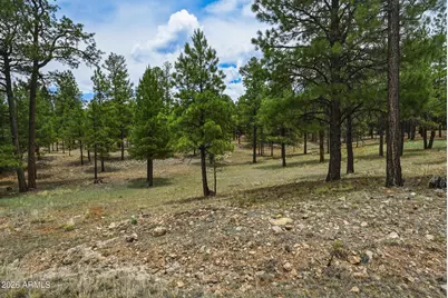 2799 Cherokee Way #381, Happy Jack, AZ 86024 - Photo 2