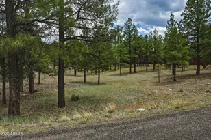 2799 Cherokee Wy, Happy Jack, AZ 86024 - Photo 1