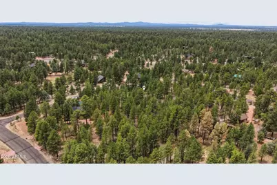 2799 Cherokee Way #381, Happy Jack, AZ 86024 - Photo 8