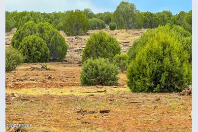 8063 Mustang Lane #-, Show Low, AZ 85901 - Photo 14