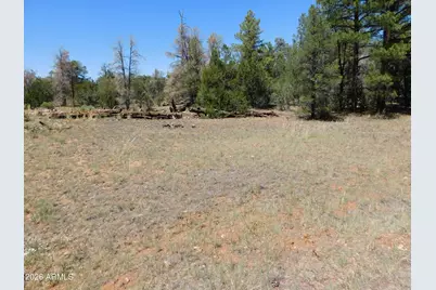 3100 Pinewood Drive #083B, Overgaard, AZ 85933 - Photo 2