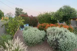 18 E Garfield St, Tempe, AZ 85288 - Photo 30