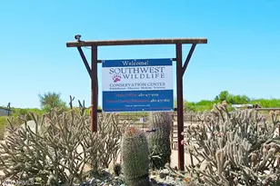 29101 N 141st St, Scottsdale, AZ 85262 - Photo 82