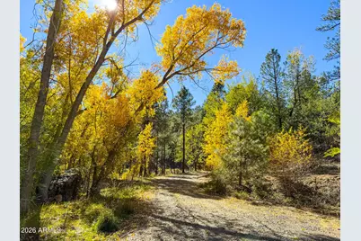 0 Forest Service Road -- #-, Prescott, AZ 86303 - Photo 10