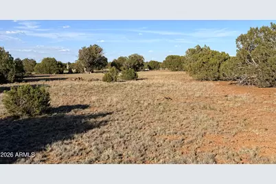 9070 Pinto Trail #-, Show Low, AZ 85901 - Photo 16