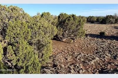 9070 Pinto Trail #-, Show Low, AZ 85901 - Photo 10