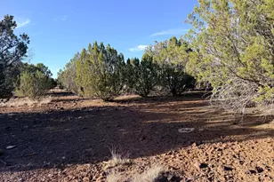 9070 Pinto Trail, Show Low, AZ 85901 - Photo 1