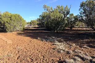 9070 Pinto Trail, Show Low, AZ 85901 - Photo 20
