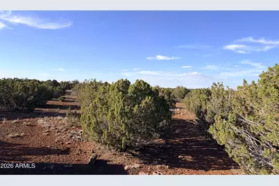 9070 Pinto Trail, Show Low, AZ 85901 - Photo 18