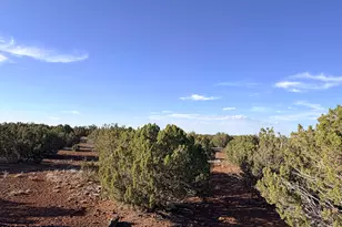 9070 Pinto Trail, Show Low, AZ 85901 - Photo 18