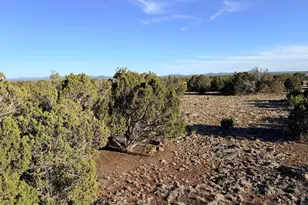 9070 Pinto Trail, Show Low, AZ 85901 - Photo 28