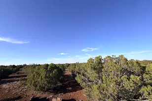 9070 Pinto Trail, Show Low, AZ 85901 - Photo 24