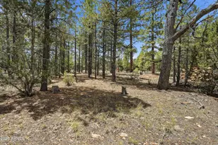 6163 Mallard Pond Dr, Happy Jack, AZ 86024 - Photo 20