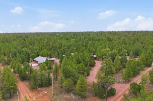 6163 Mallard Pond Dr, Happy Jack, AZ 86024 - Photo 32