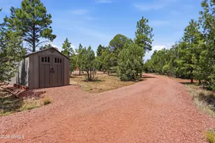 6163 Mallard Pond Dr, Happy Jack, AZ 86024 - Photo 12