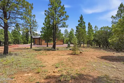 6163 Mallard Pond Drive, Happy Jack, AZ 86024 - Photo 8