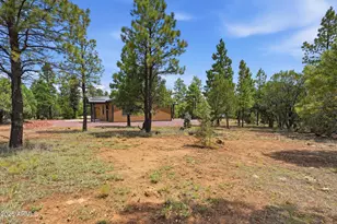6163 Mallard Pond Dr, Happy Jack, AZ 86024 - Photo 8