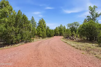 6163 Mallard Pond Drive, Happy Jack, AZ 86024 - Photo 16