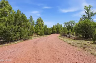 6163 Mallard Pond Dr, Happy Jack, AZ 86024 - Photo 16